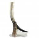 natural shoe horn